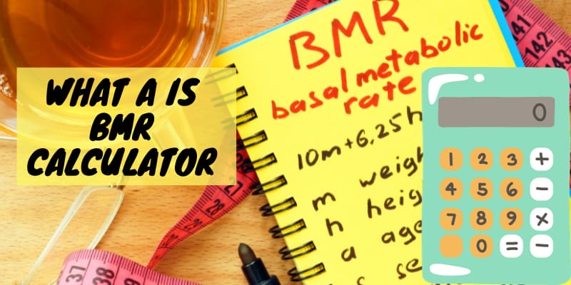 How To Use Online Free BMR Calculator?