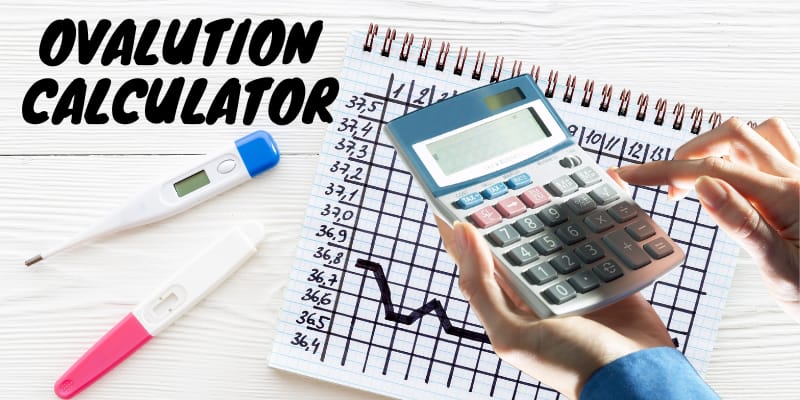 How To Use Free Ovulation Calculator?