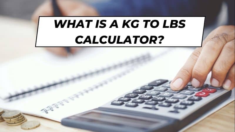 how to use a kg to lbs calculator