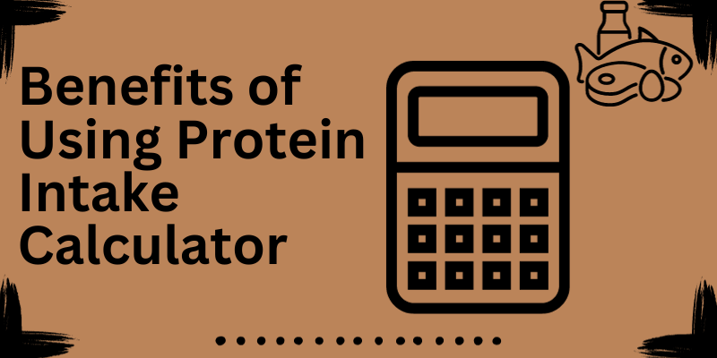 Benefits of Using a Protein Intake Calculator 