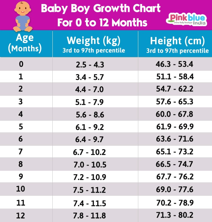 Infographic of Baby boy growth chart for 0 to 12 months