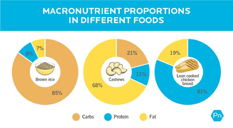 Infographics of macronutrients proportinss