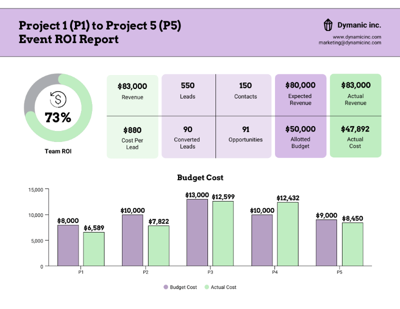 Infographics of project of ROI