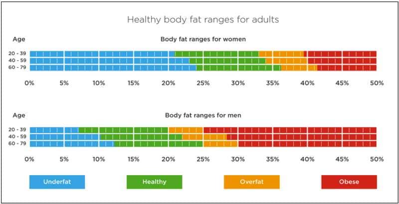 infographics of healthy body fat ranges for human